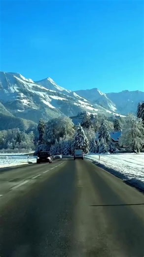 Exploring Creator Search Insights