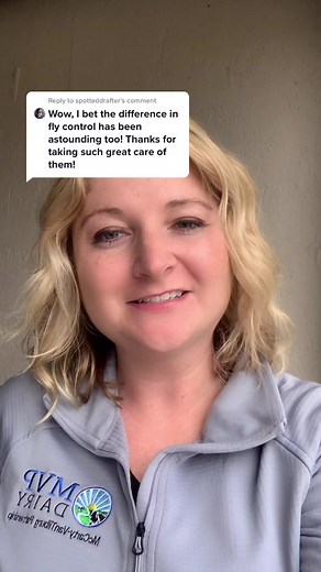 Dealing with Tiny Flies on a Dairy Farm