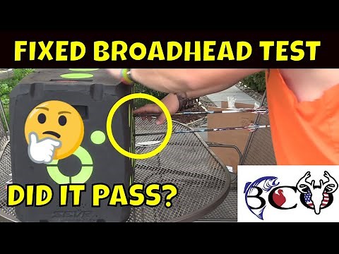 Sevr HD target Broadhead torture test | bco review |