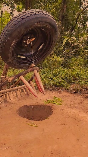 Primitive Pig Trap_ How To Make boar Trap #shorts #new #trap #tricks | Ancient American Stories