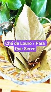 Bay Leaf Tea: What Is It For? Benefits, How to Make and How to Drink