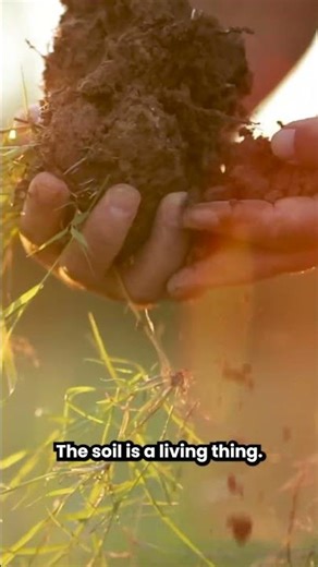 The Real Reason Bare Soil Fails — And the Research That Proves It