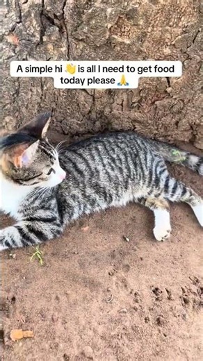 Even 10$ can play a very big part in there lives .link io bio if you would like to donate 🙏