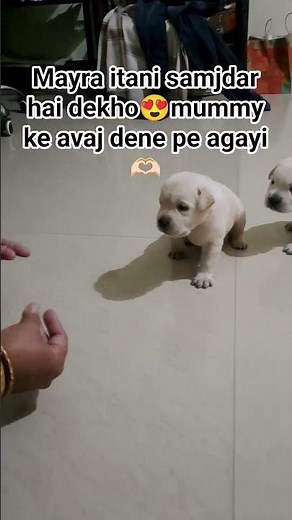 Mayra itani samjdar hai dekho😍|mummy ke avaj dene pe agayi🫶🏻 | #yourskunal18 #mummylove #maa