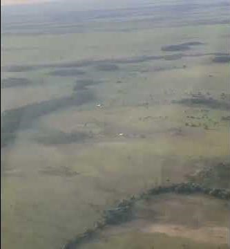 13 de noviembre de 2025