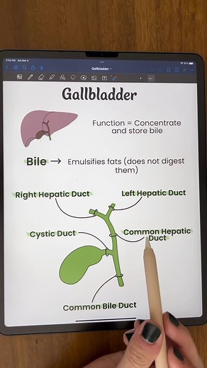 TikTok - Make Your Day