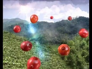 Vinacafe 2012 - 8 loại hạt cà phê ngon nhất Việt Nam