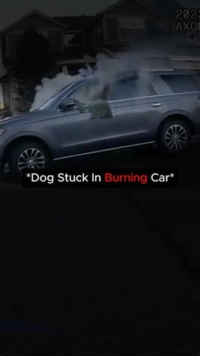 Hero Cop Saves Dog From Burning Car