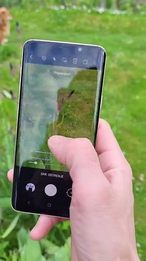 Samsung Galaxy S9 Plus Daylight Camera and Display brightness test