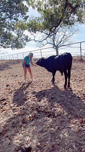 125K views · 5.9K reactions | El papi chulo otra mascotita más para la patrona | Rancho La centencia | Facebook
