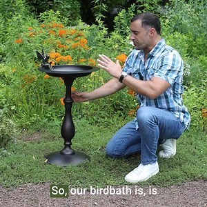 Classic Bronze Bird Bath Pedestal With Fairy Statue - Etsy