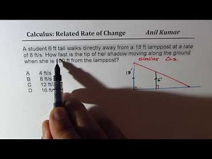 Calculus Related Rate of Change of Tip of Shadow