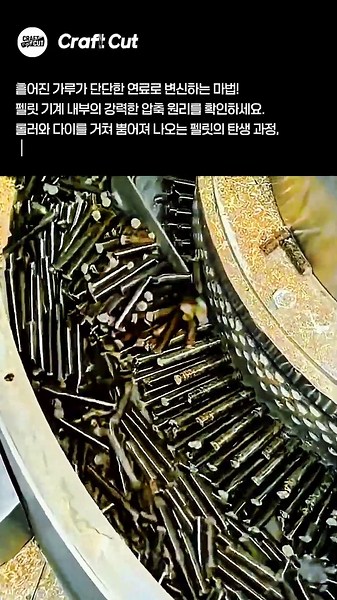 친환경 펠릿 연료 제조 공정: 기계 내부 핵심 작동 원리 #worker #process #pellet #machine
