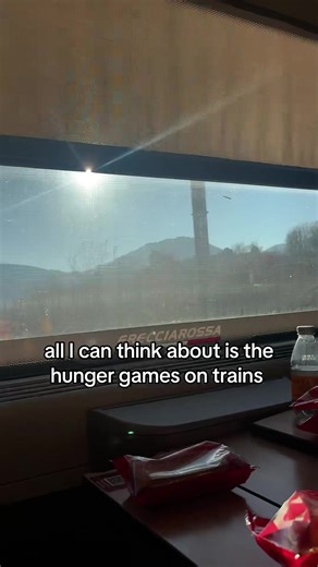 Totally saw the mockingjay symbol flashing in the tunnels