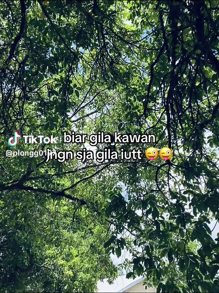 Traditional Bali Dance Video Compilation