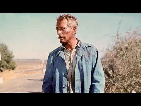 Why Joy Harmon Almost Quit Cool Hand Luke: The Car Wash Controversy