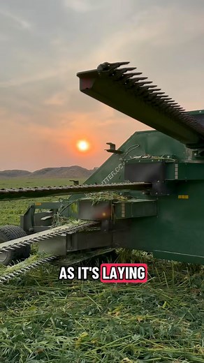 Not all bedding starts in a field… but ours does. This is how hemp bedding is made from start to almost finish, drop a 🌱if you want to see Part 2 | Hemptana