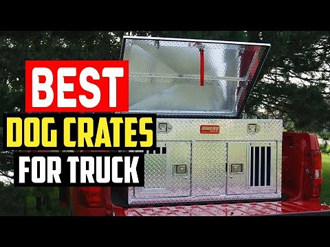 ✅Top 5 Best Dog Crates for Truck Beds in 2025