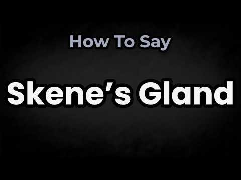 How To Pronounce Skene’s Gland? (CORRECTLY) Meaning & Pronunciation