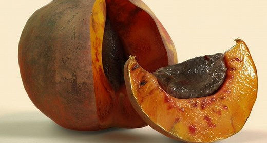 5 beneficios del zapote y qué pasa si lo come todos los días: tiene muchos nutrientes