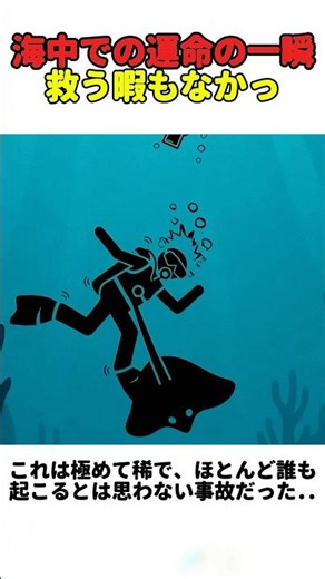 海中での運命の一瞬…救う暇もなかった 😨