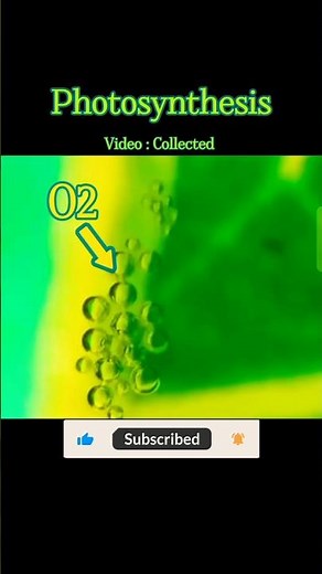 The BEST Science Shorts! #viral #science
