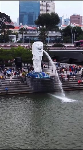 How Singapore Became the Cleanest Country? 🇸🇬 #singapore #india #cleaning #shortvideo #shorts #yt