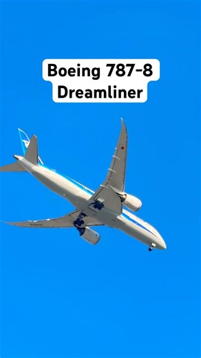 【空の散歩道】ふと見上げた頭上に、美しきドリームライナーの輝き。📸