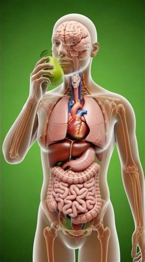 I Ate a Pear Every Day for 30 Days Here’s What Happened