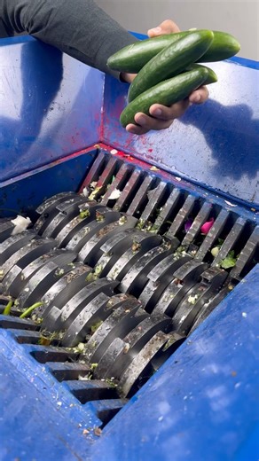 VEGETABLES vs Industrial Shredder!