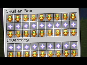 Becoming Immortal on Lifesteal SMP...