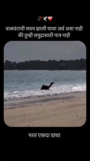 Zindagi Ek Kavita on Instagram: "परत एकदा वाचा ️❤️‍啕鹿 Marathi Quotes | Marathi Whatsapp Status | Marathi Status | Marathi Vichar | Marathi Motivational | Sad Status | Sad Poetry | Marathi Kavita | Sandeep Khare I Marathi Poetry | Marathi Songs #marathiquotes #marathisuvichar #marathikavita #marathistatus #marathi_status #marathi_suvichar #marathimeme #marathimulgi #marathitroll #marathisongs #marathiprem #marathilove #marathipremkavita"