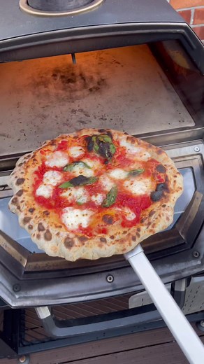 Authentic Tokyo Neapolitan Pizza Recipe