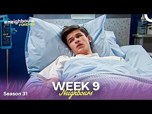 WEEK 9 | Episodes 7071-7075 | Neighbours 2015 (Season 31)