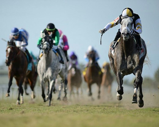 The Science of Horse Racing: Changing Leads | TwinSpires