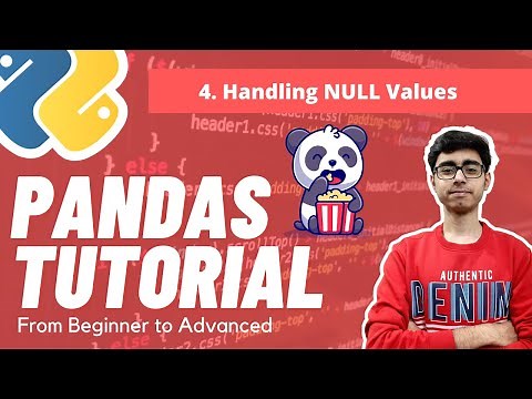 Part 4 - Handling the Null Values | Pandas Complete Tutorial | Missing Values