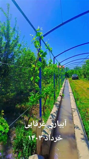 ۱۸ فوریهٔ ۲۰۲۶