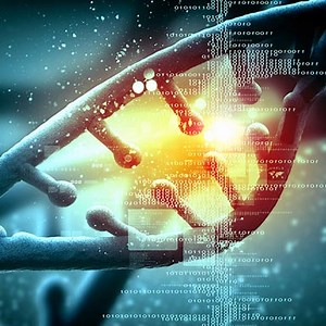 What are rare diseases?