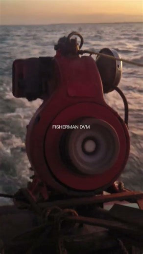 faiber boat engine sound #shortsfeed