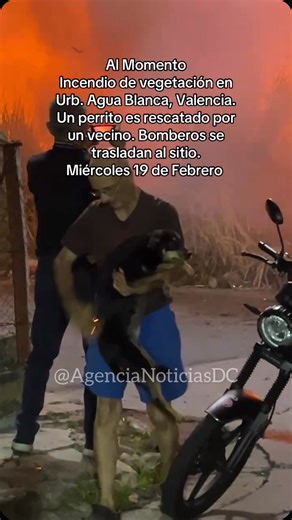 Agencia de Noticias Dany Cosmo | Al Momento Incendio de vegetación en Urb. Agua Blanca, Valencia. Un perrito es rescatado por un vecino. Bomberos se trasladan al sitio.... | Instagram