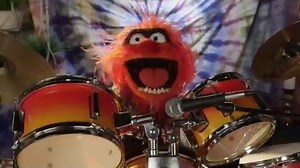 Dr. Teeth and The Electric Mayhem are Going to Outside Lands 2016 The Muppets