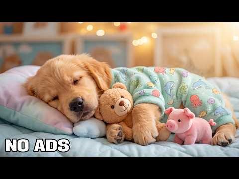 12 Hours of Calming Music for Dogs 🐶💖 Healing Anti-Anxiety for Stress Relief & Deep Sleep for Dogs
