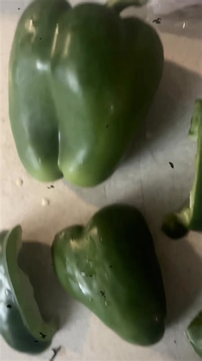 Phillies baby 🤌🏼 | Lauren Hunni