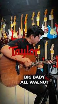 Review TAYLOR BIG BABY