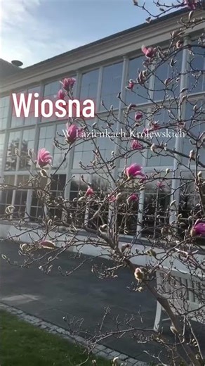 Wiosna💐🌷🪷🌺🌹