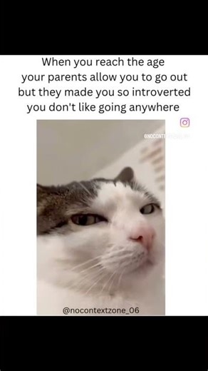 "Introvert Problems Only Introverts Understand😅🥲
