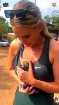 They Lost Everything But Then A Hero Appeared 🥺🐾 Emotional Animal Rescue Part 3