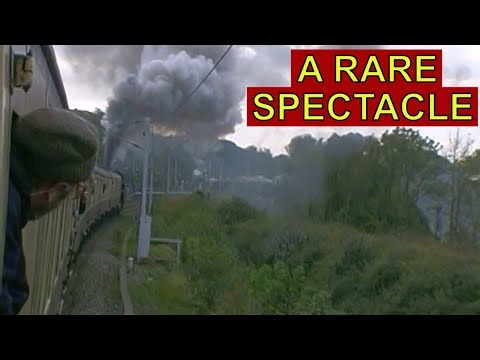 The VERY LAST Shap Banker ! Steam against the gradient