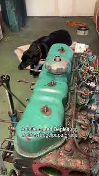 DIY engine overhaul: My 5 reasons (Volvo Penta MD21 boat engine)