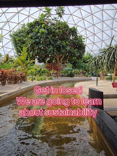 POV: you escape the Florida heat and float through the future of farming 🌿🚤 Living with the Land at EPCOT is low-key one of the most underrated rides in Disney. Real food, real science, real Disney magic. If you know, you know 👀✨ #EPCOT #LivingWithTheLand #Disney #WaltDisneyWorld #orlando